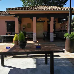 Palmeras Сasa de vacaciones